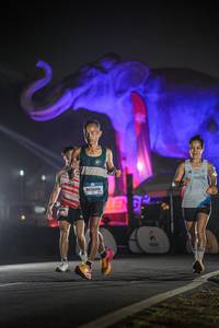 BIB: 
                            <button type="button" onclick="openModal(26531158)" class="btn btn-primary btn-sm float-right btn-popup" data-toggle="modal" data-target=".modal-high-quality">
                        <i class="fas fa-shopping-cart"></i> Add to Cart
                    </button>
                                            <button type="button" onclick="isThisMe(26531158, true)" class="btn btn-success btn-sm float-right btn-popup btn-isme hidden" data-toggle="tooltip" data-placement="bottom" title="นี่คือรูปของคุณใช่ไหม คลิกที่นี่เพื่อเอาเข้าอัลบั้ม">
                        <i class="fas fa-plus"></i> Add to album
                    </button>
                    <button type="button" onclick="isThisMe(26531158, false)" class="btn btn-warning btn-sm float-right btn-popup btn-isnotme hidden">
                        <i class="fas fa-ban"></i> Remove from album
                    </button>